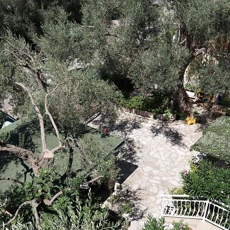 Kuca Radovic Hotel Petrovac Exterior photo