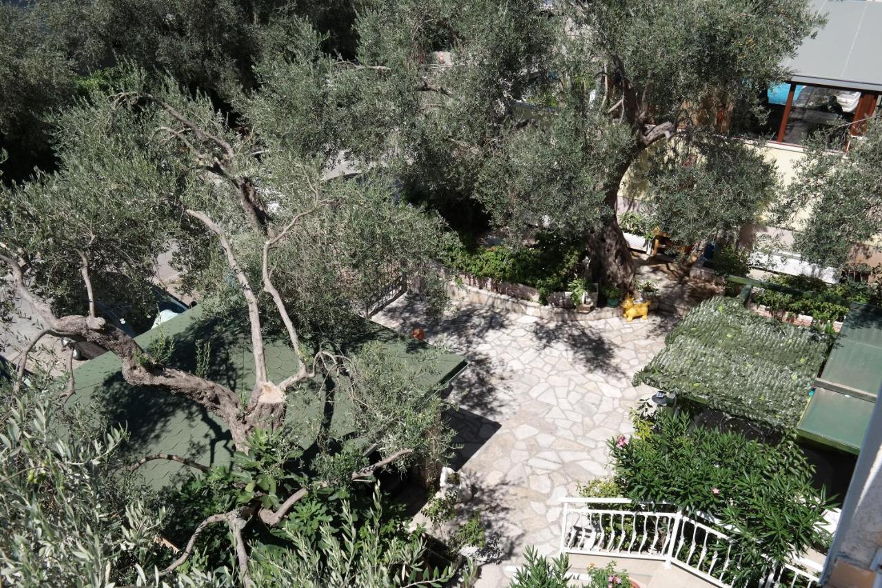 Kuca Radovic Hotel Petrovac Exterior photo